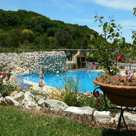 Angela Apartments Pool Gardens And Sea Views Agios Stefanos Avliotes  Bagian luar foto
